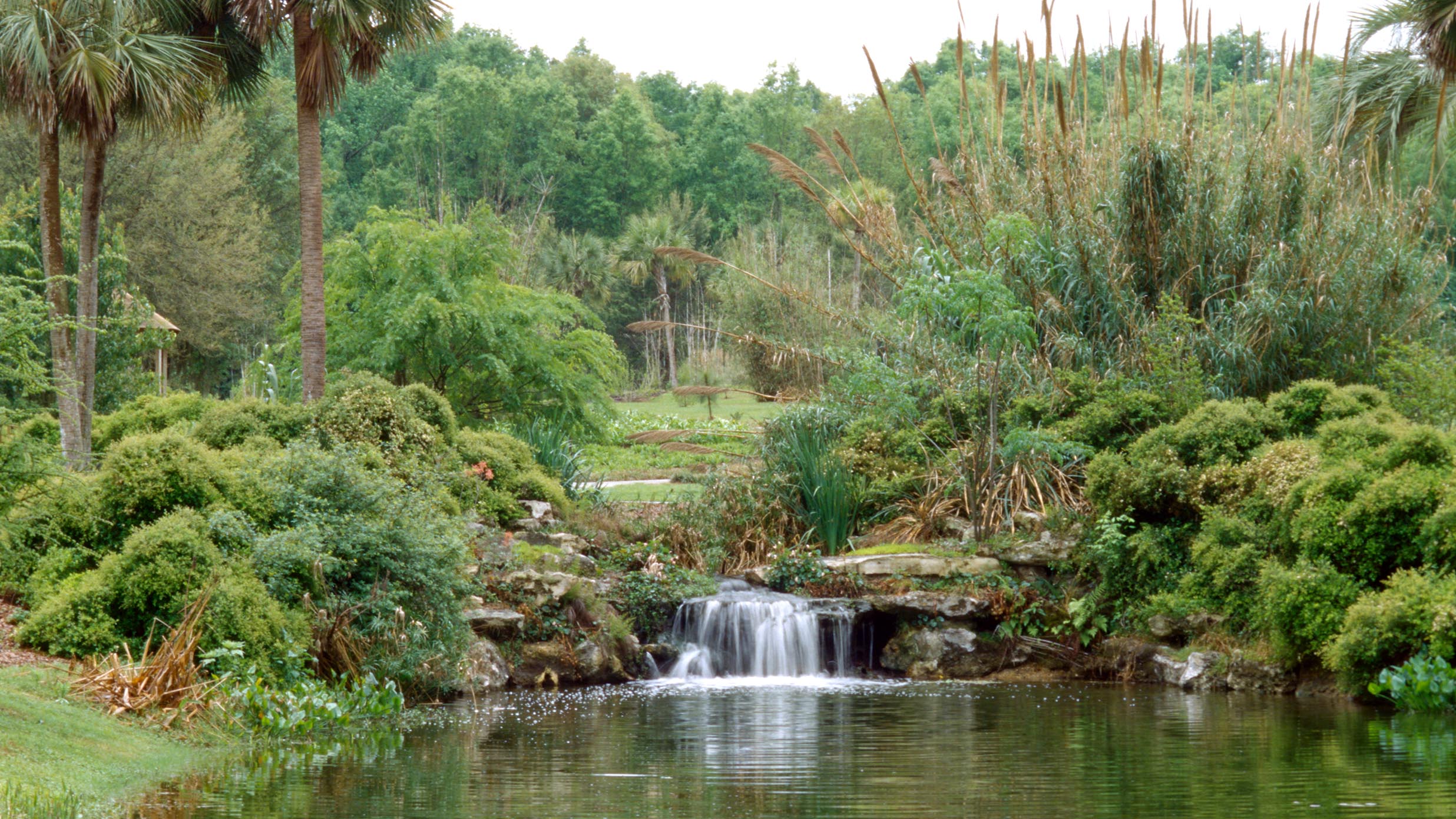 Scenic landscaping with a waterfall