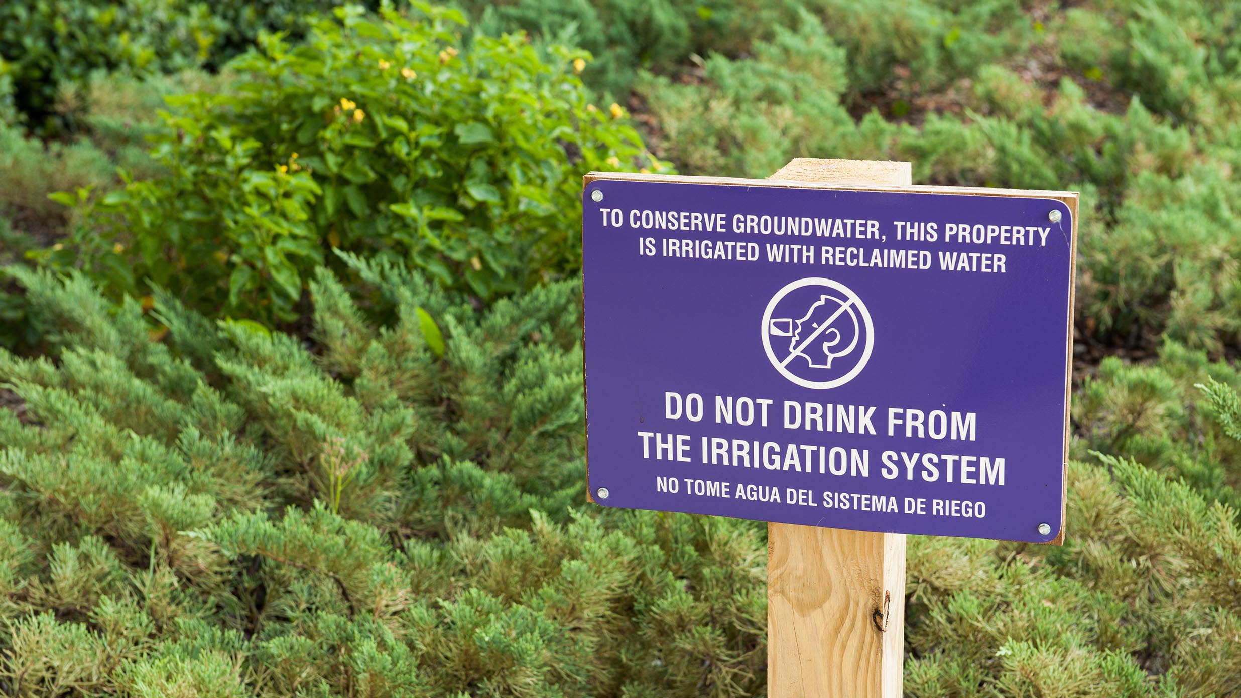 Purple "don't drink from water system" sign