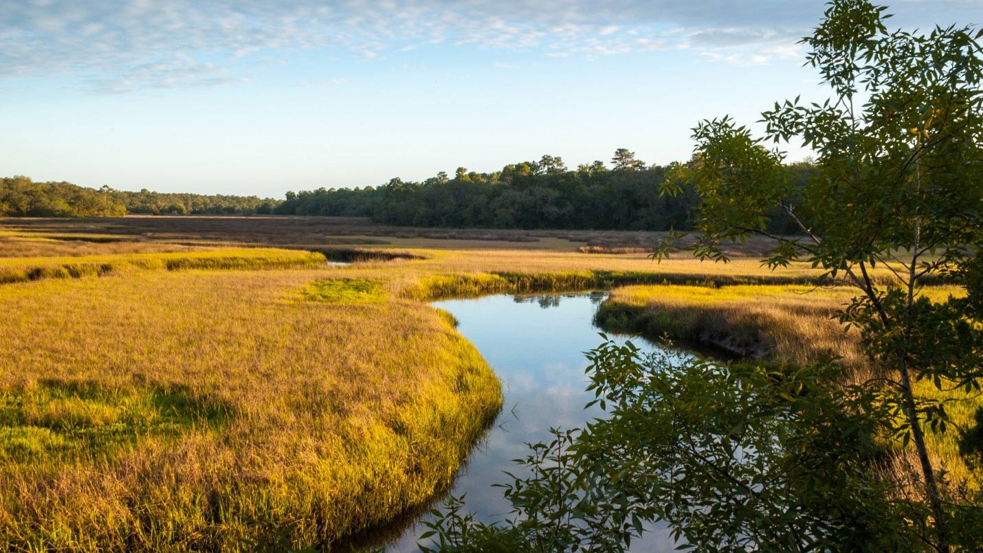 A view of Moses Creek from the District’s Moses Creek Conservation Area.
