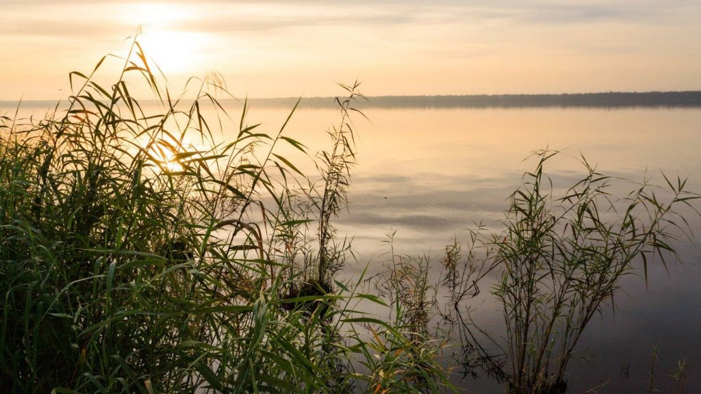 June is National Rivers Month, so this month — and throughout all of 2021 — the District is focusing extra attention on celebrating the St. Johns River and recognizing its importance among other great rivers that have helped shape our nation.