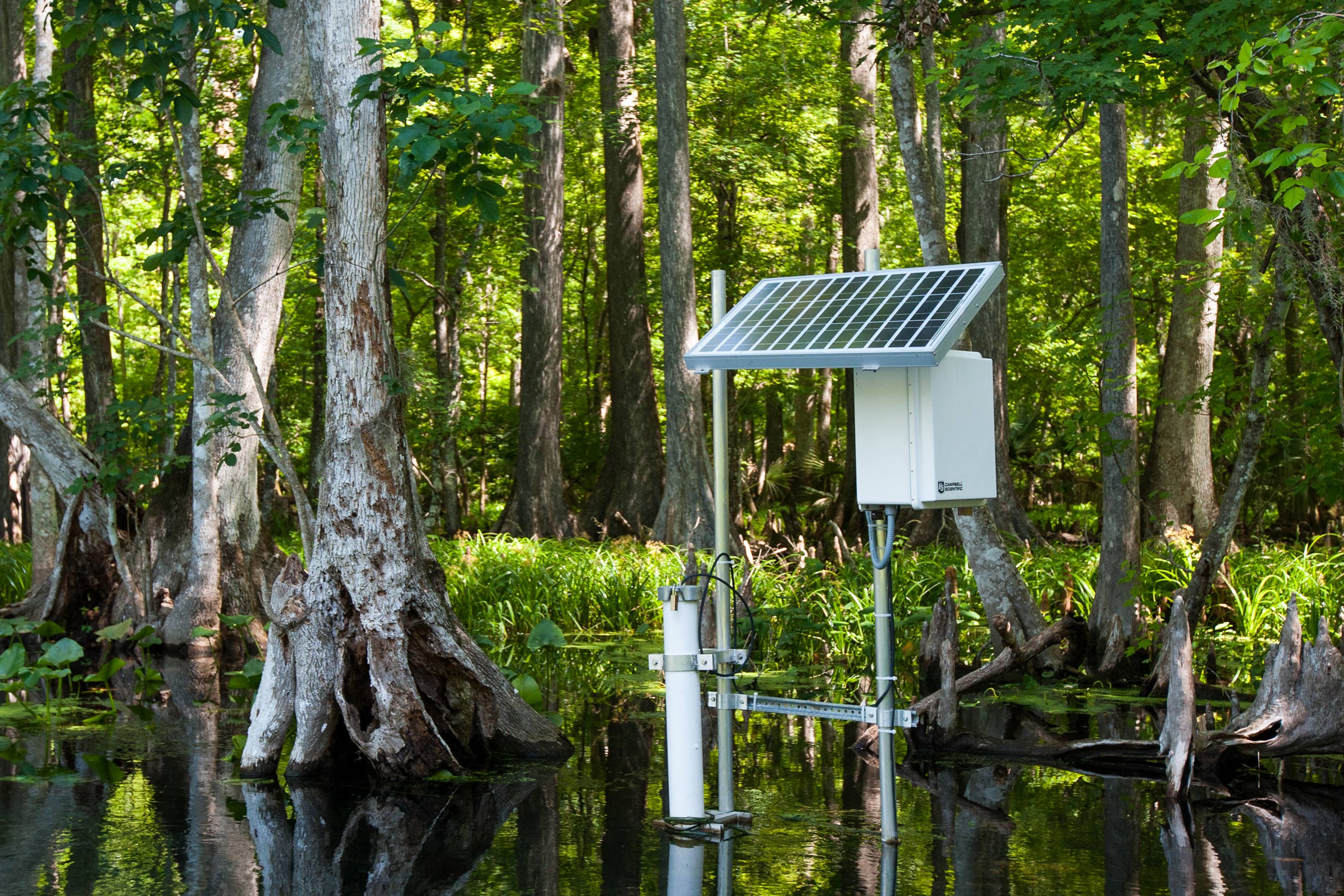 Water quality monitoring site