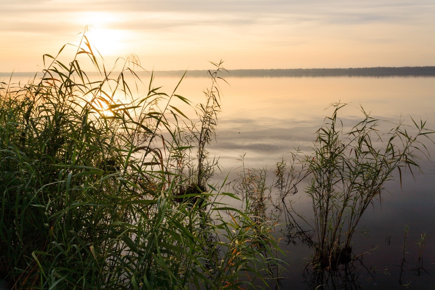 The sun rises over the St. Johns River in Palatka.