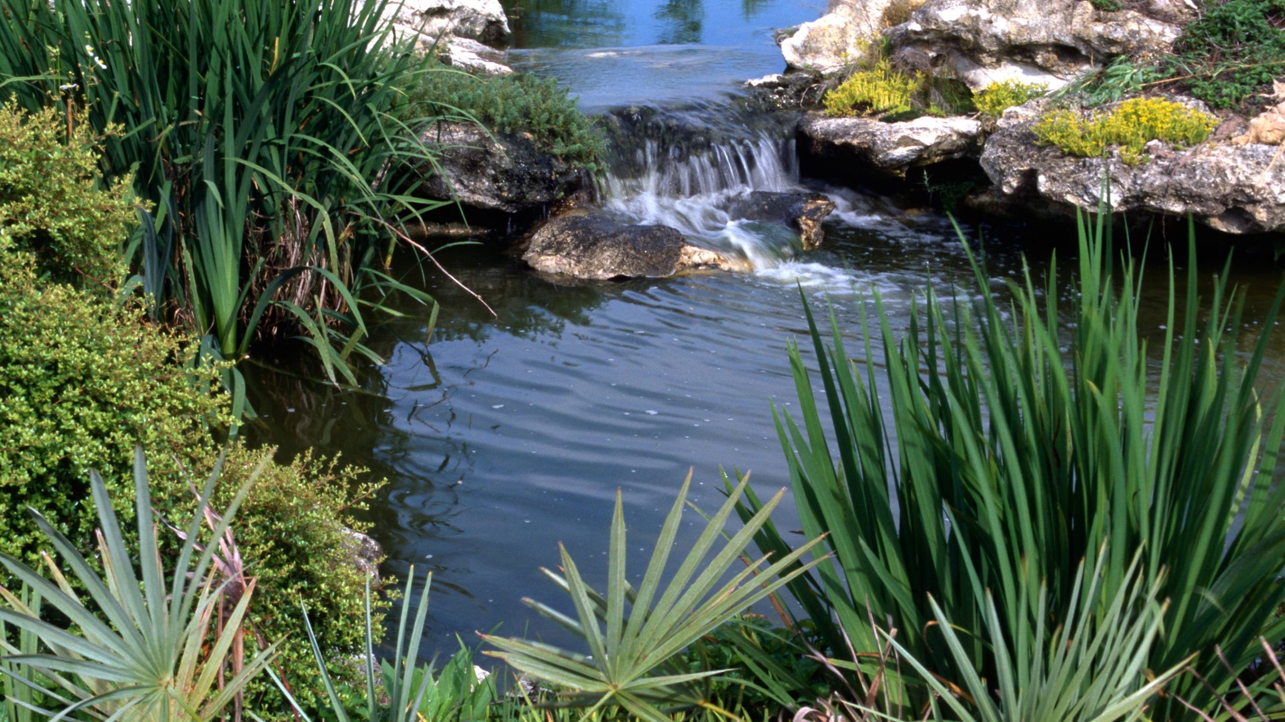 Small waterfall in a pond