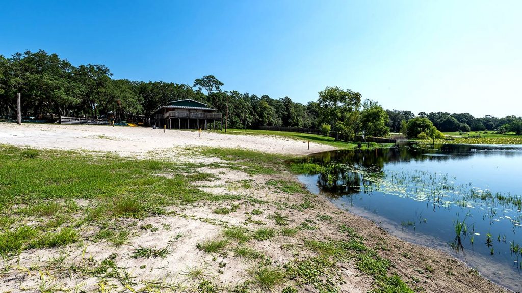 Black Creek shore