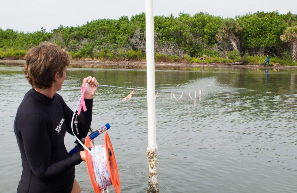 OC-20020801-100559 Lori Morris establishing a transect line in the Mosquito Lagoon