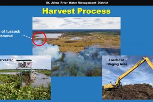 Orange Creek mechanical harvest Powerpoint slide