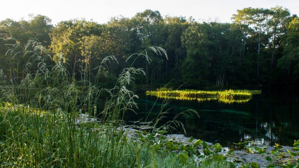 Floridians are passionate about the many springs found throughout the Sunshine State, and the St. Johns River Water Management District is equally passionate about these waterways.
