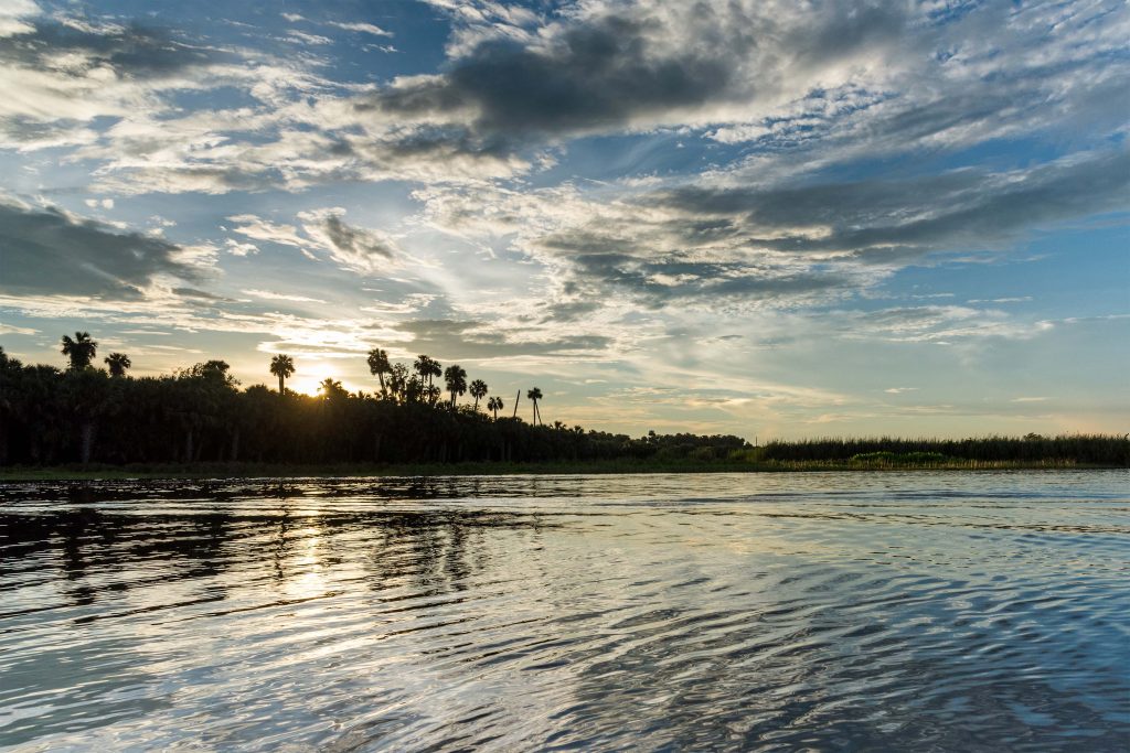 The sun peeks over the trees along the shore of Lake Jesup