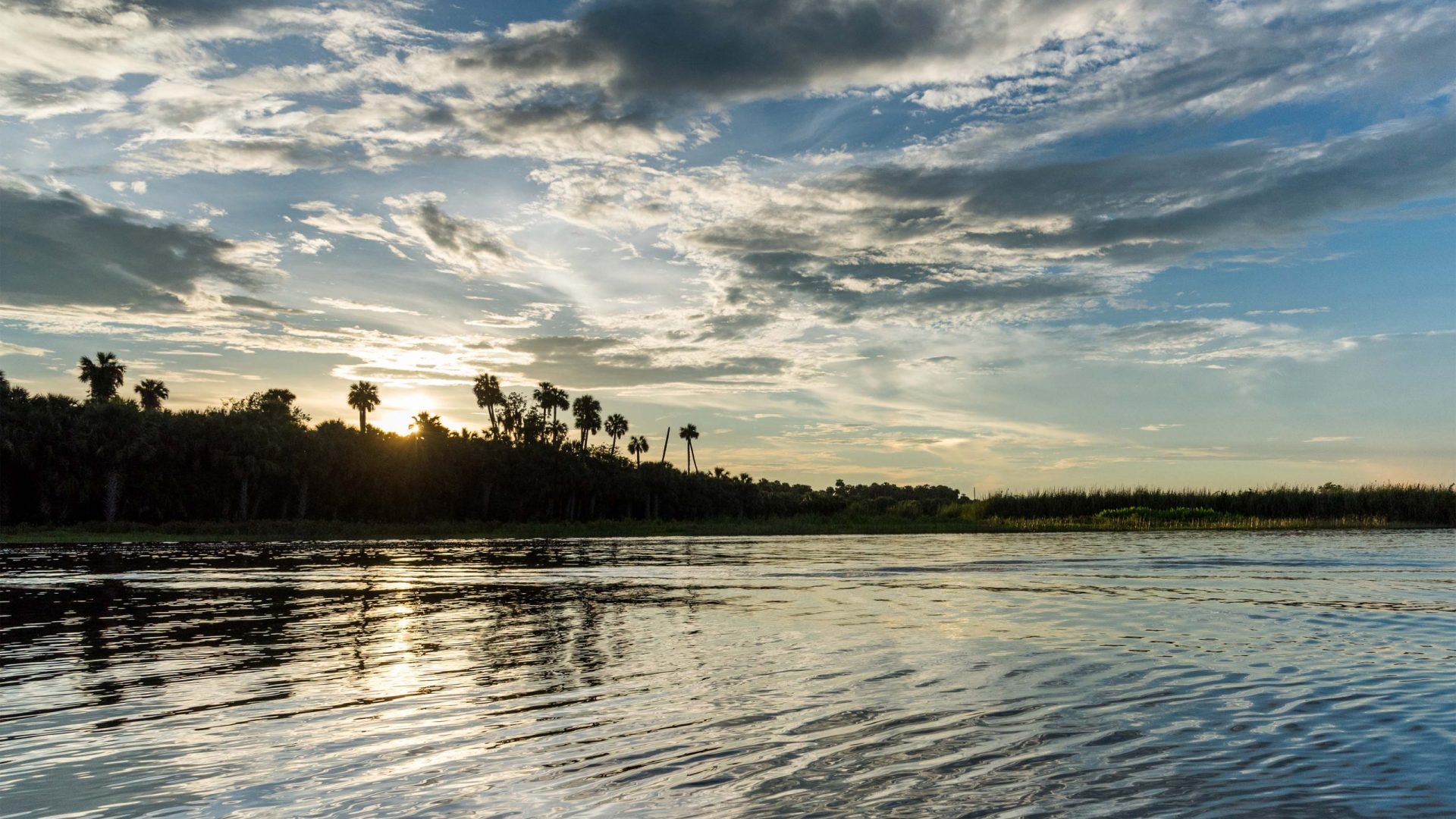 The sun peeks over the trees along the shore of Lake Jesup