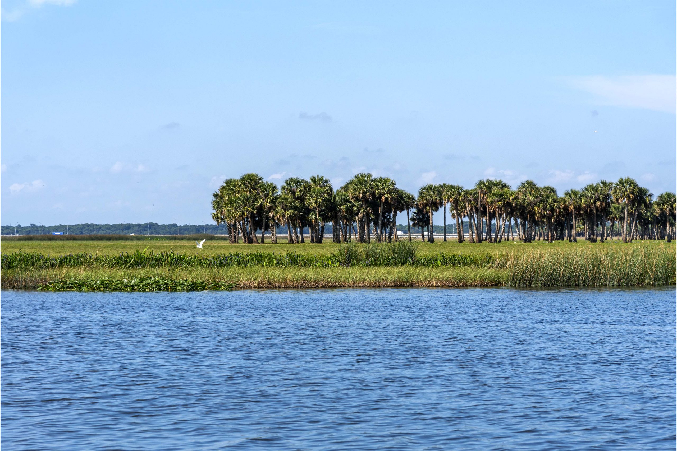 Marl Bed Point within the Lake Jesup Conservation Area in central Florida