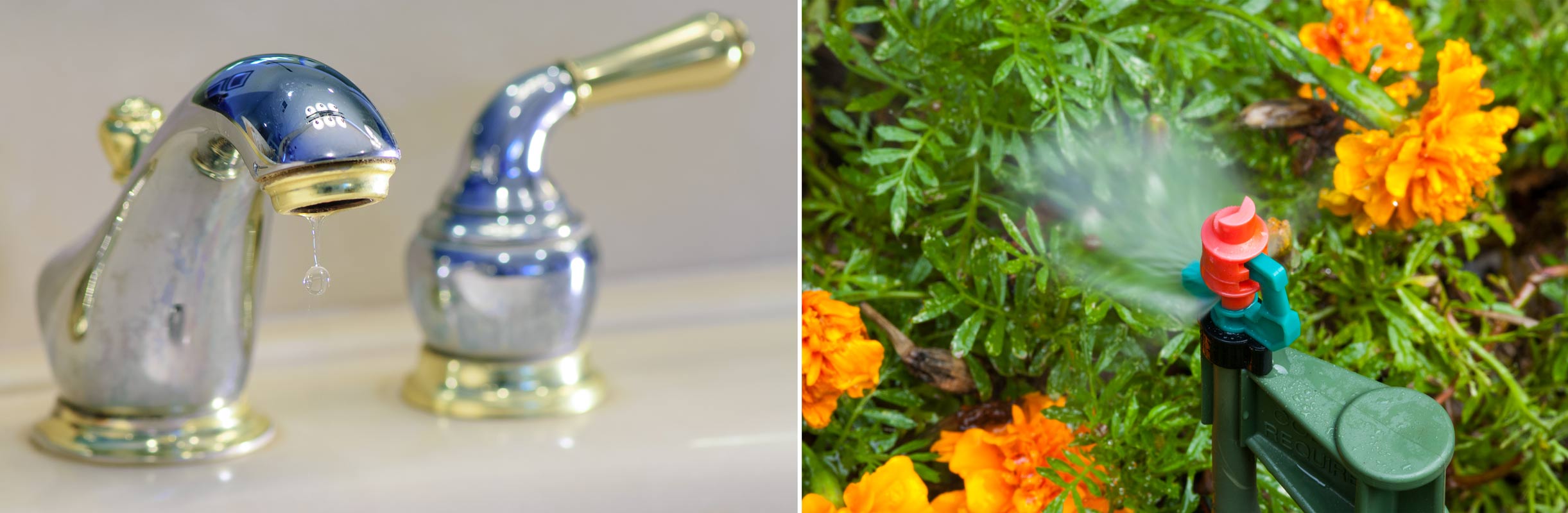 Dripping faucet