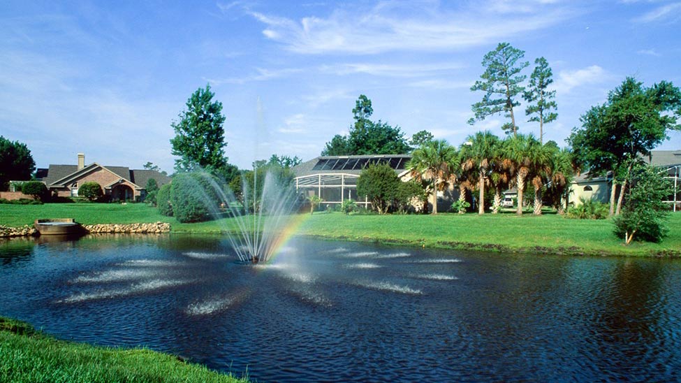 Water fountain in a pond