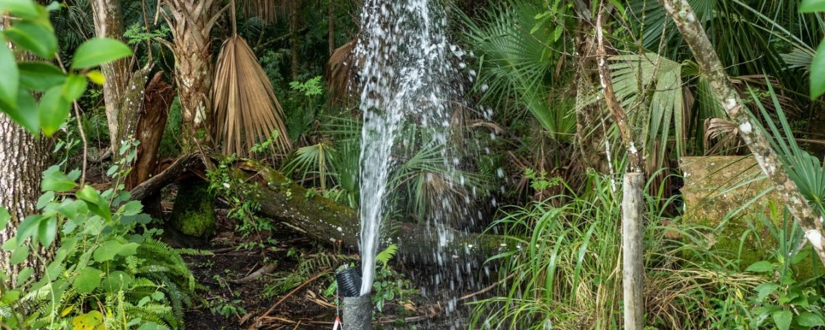 Free-flowing abandoned artesian well