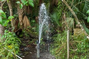 Free-flowing abandoned artesian well