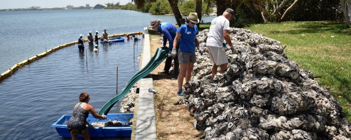 District employees working at a river shore