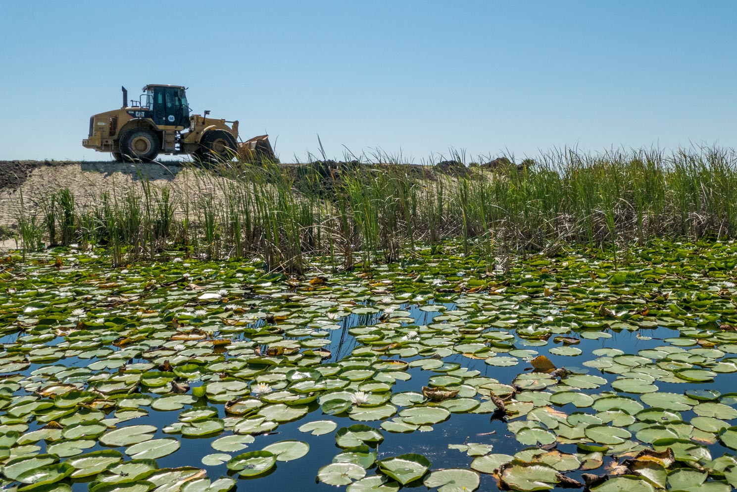 District staff grade a levee in the Lake Apopka North Shore.