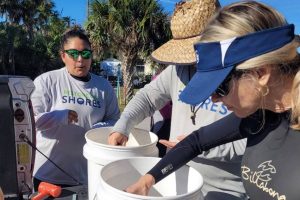 Scientists inspecting buckets of young clams