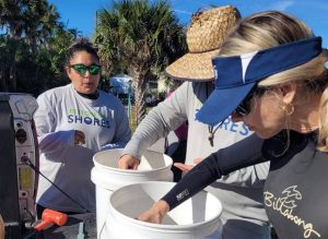 Scientists inspecting buckets of young clams