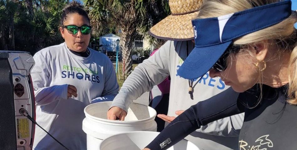 Scientists inspecting buckets of young clams