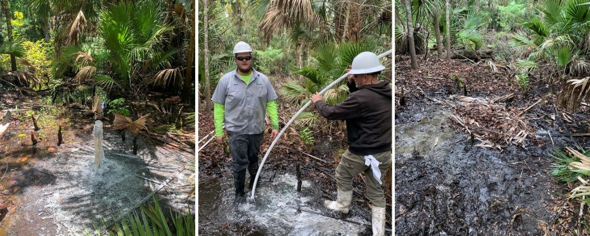 Free-flowing artesian well being filled