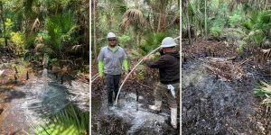 Free-flowing artesian well being filled