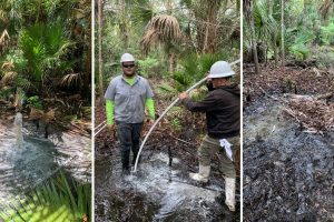 Free-flowing artesian well being filled