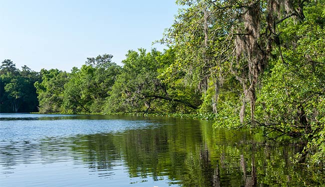 Black Creek shore