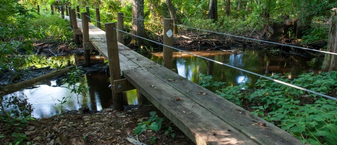 Footbridge at Dunns Creek Conservation Area