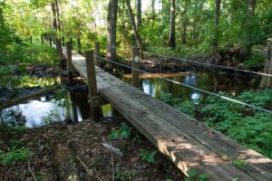 Footbridge at Dunns Creek Conservation Area