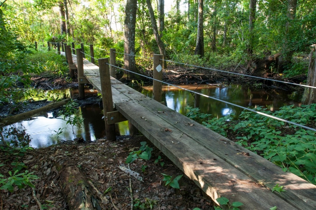 Footbridge at Dunns Creek Conservation Area