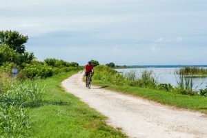 Man riding a bicycle on a dirt road