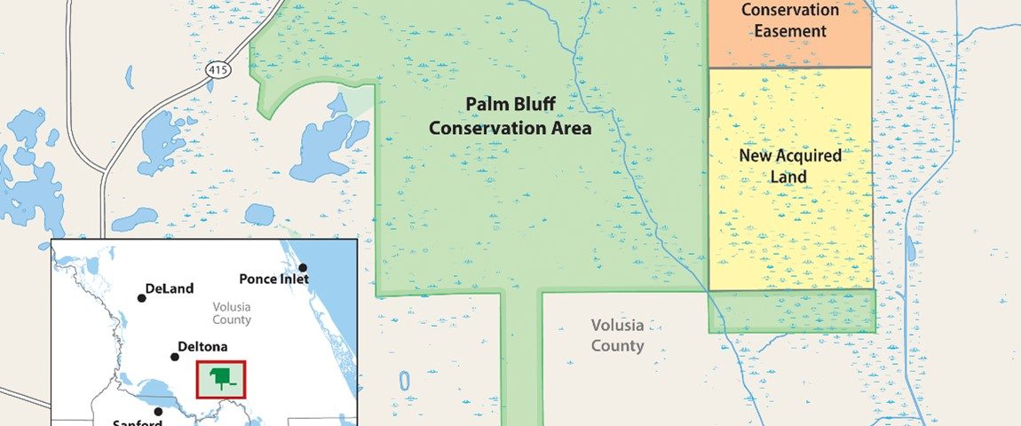 Map of Palm Bluff Conservation Area