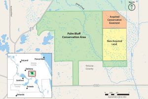 Map of Palm Bluff Conservation Area