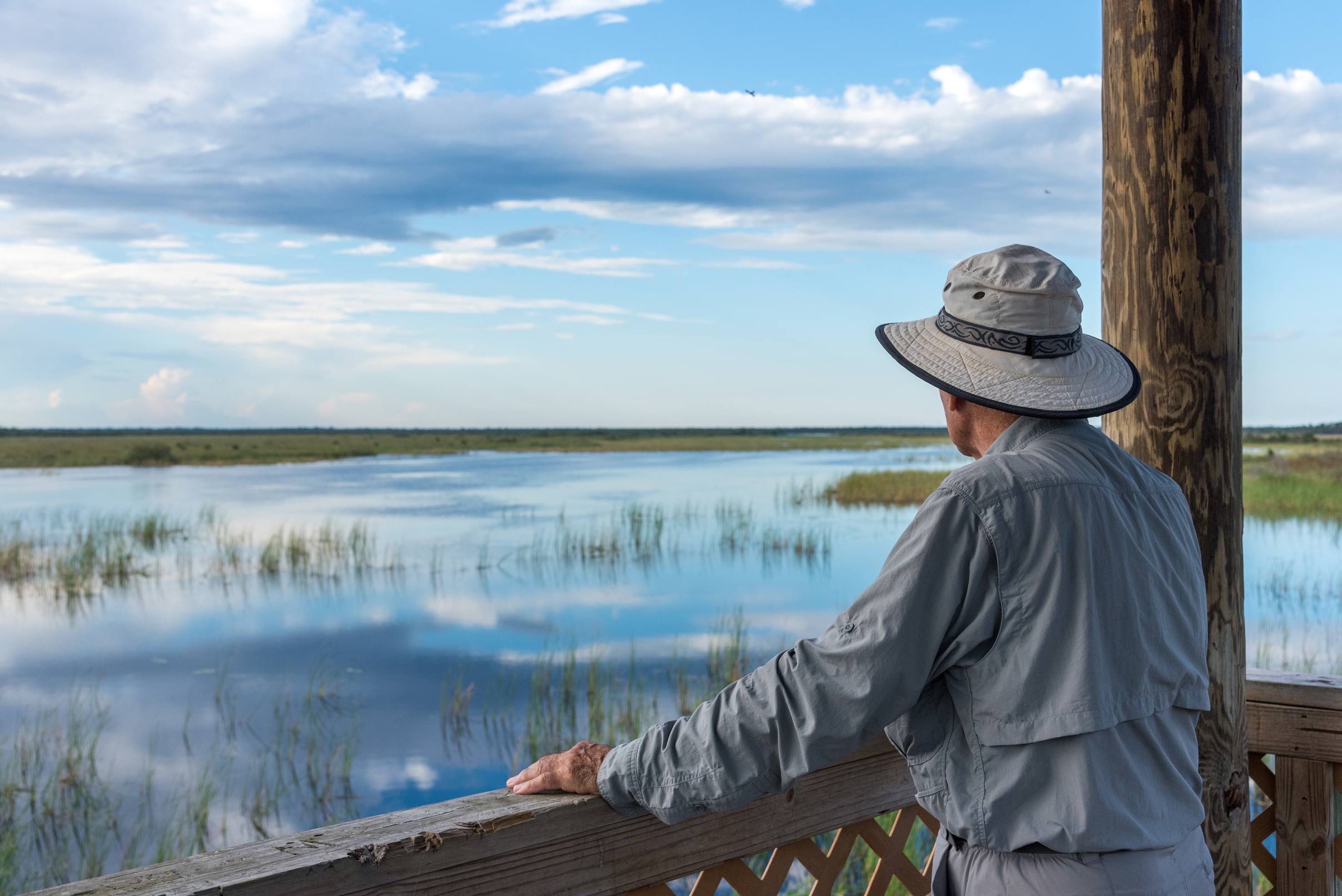 An overlook at Buck Lake Conservation Area, Brevard County