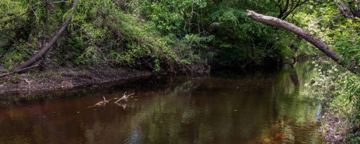 Black Creek shore