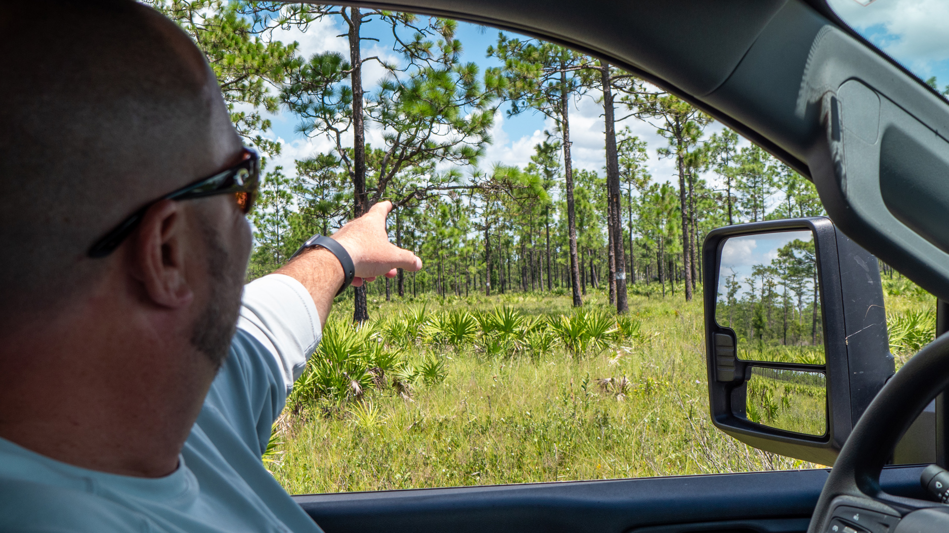 Graham Williams points out the location of a nesting box