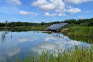 Surface water reservoir with solar powered pump used for citrus irrigation in Indian River County.