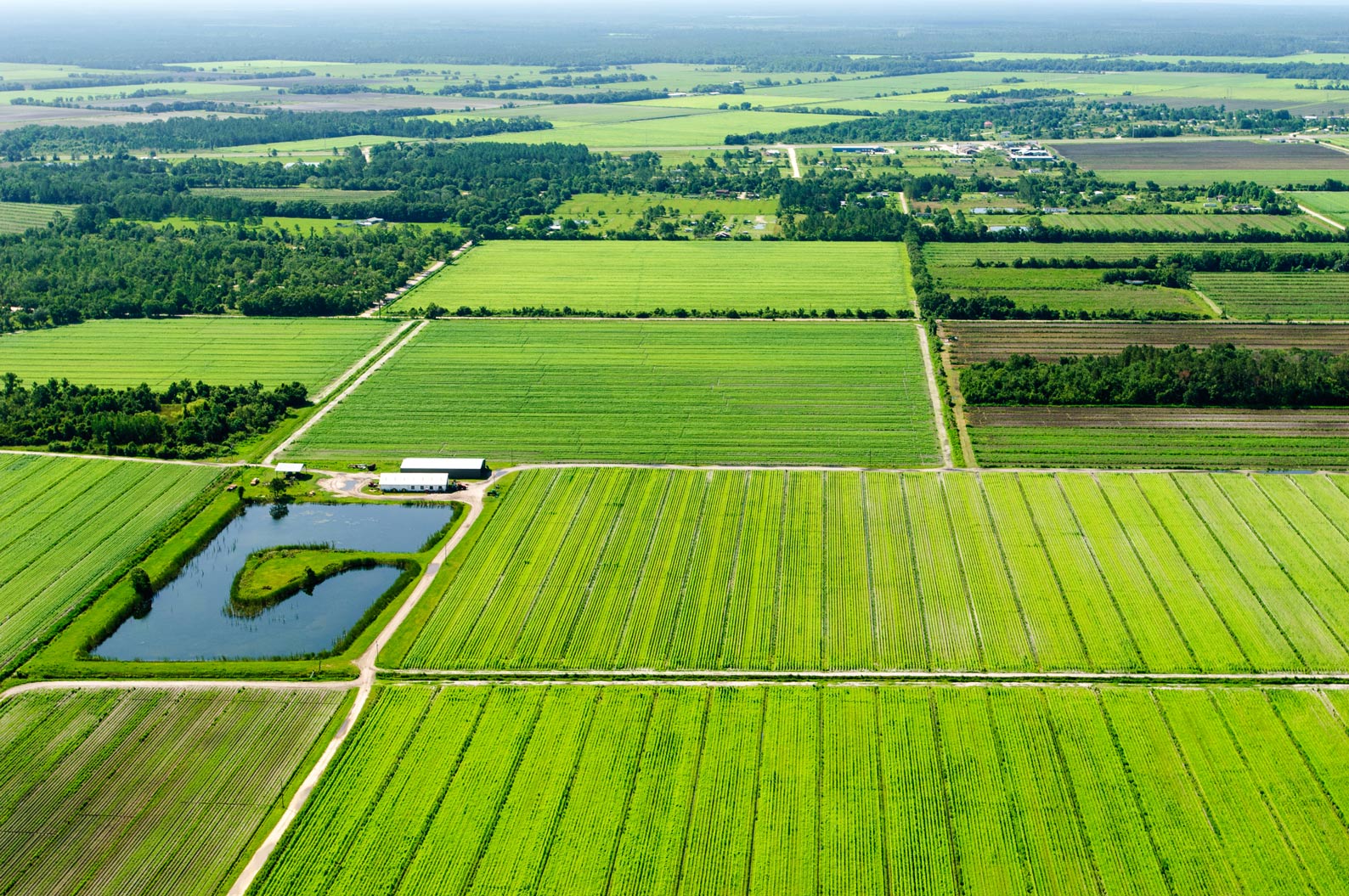 Aerial view of a farming region known as the Tri-County Agricultural Area.