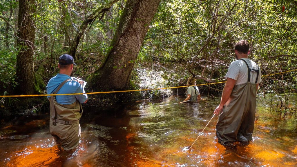 For Erin Tice, an Environmental Scientist at the District, dressing for work means donning waders and grabbing her tape measure.