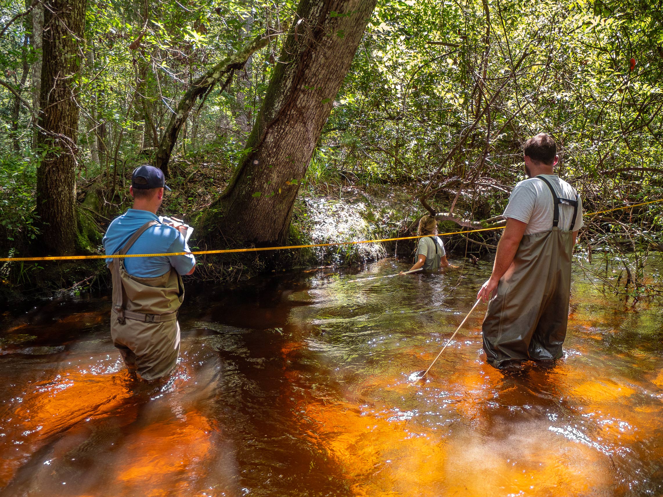Teams of District scientists gather data in a stream