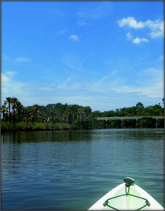 View of Tomoka River from a canoe 