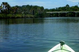 View of Tomoka River from a canoe