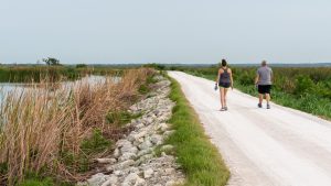 Two people walking on a trail by Lake Apopka