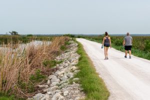 Two people walking on a trail by Lake Apopka
