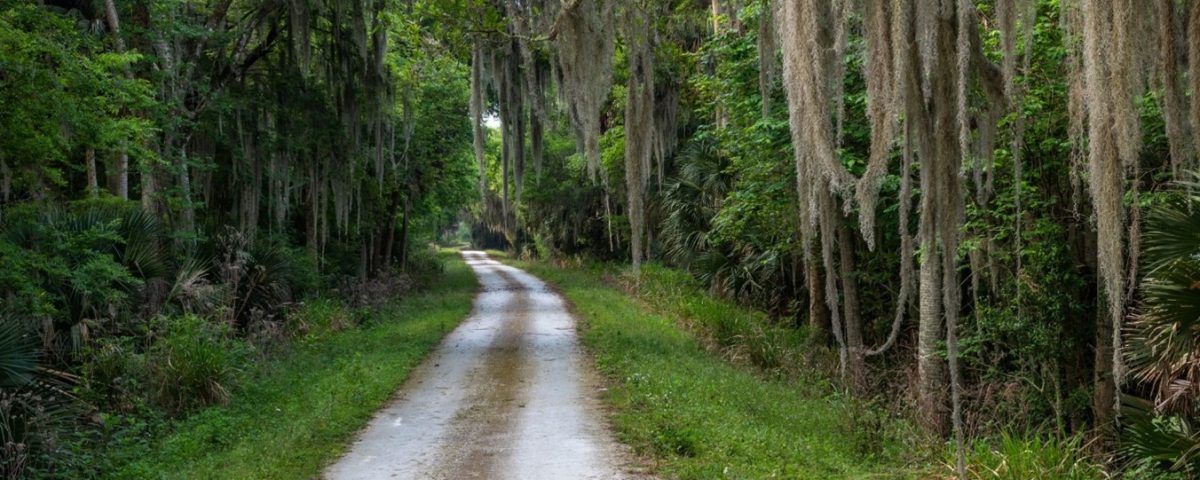 Emeralda Marsh Conservation Area is re-opened for public use, including for scouting and hunting.