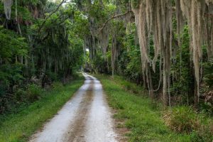 Emeralda Marsh Conservation Area is re-opened for public use, including for scouting and hunting.
