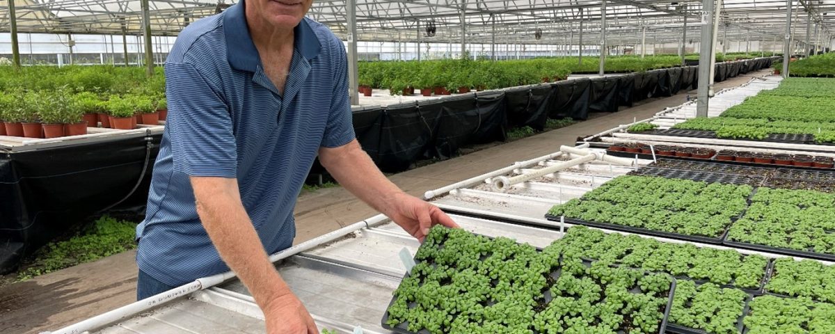 Bruce Cobb pictured in his greenhouse