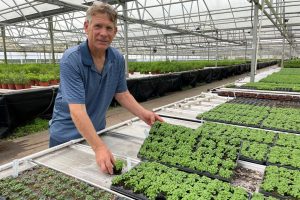 Bruce Cobb pictured in his greenhouse