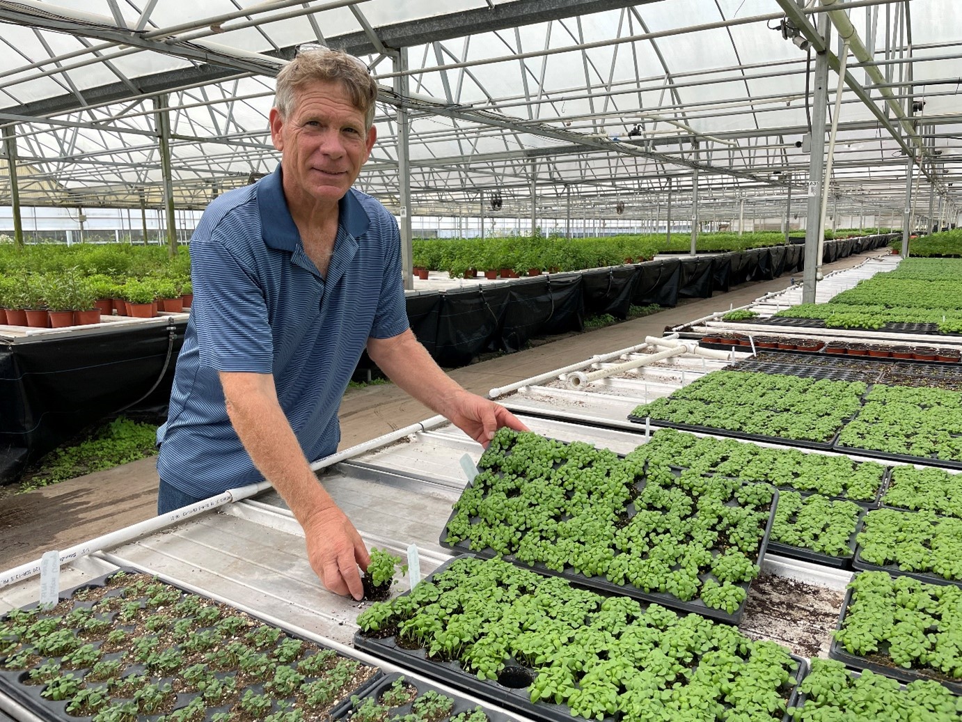 nr1 Bruce Cobb pictured in his greenhouse