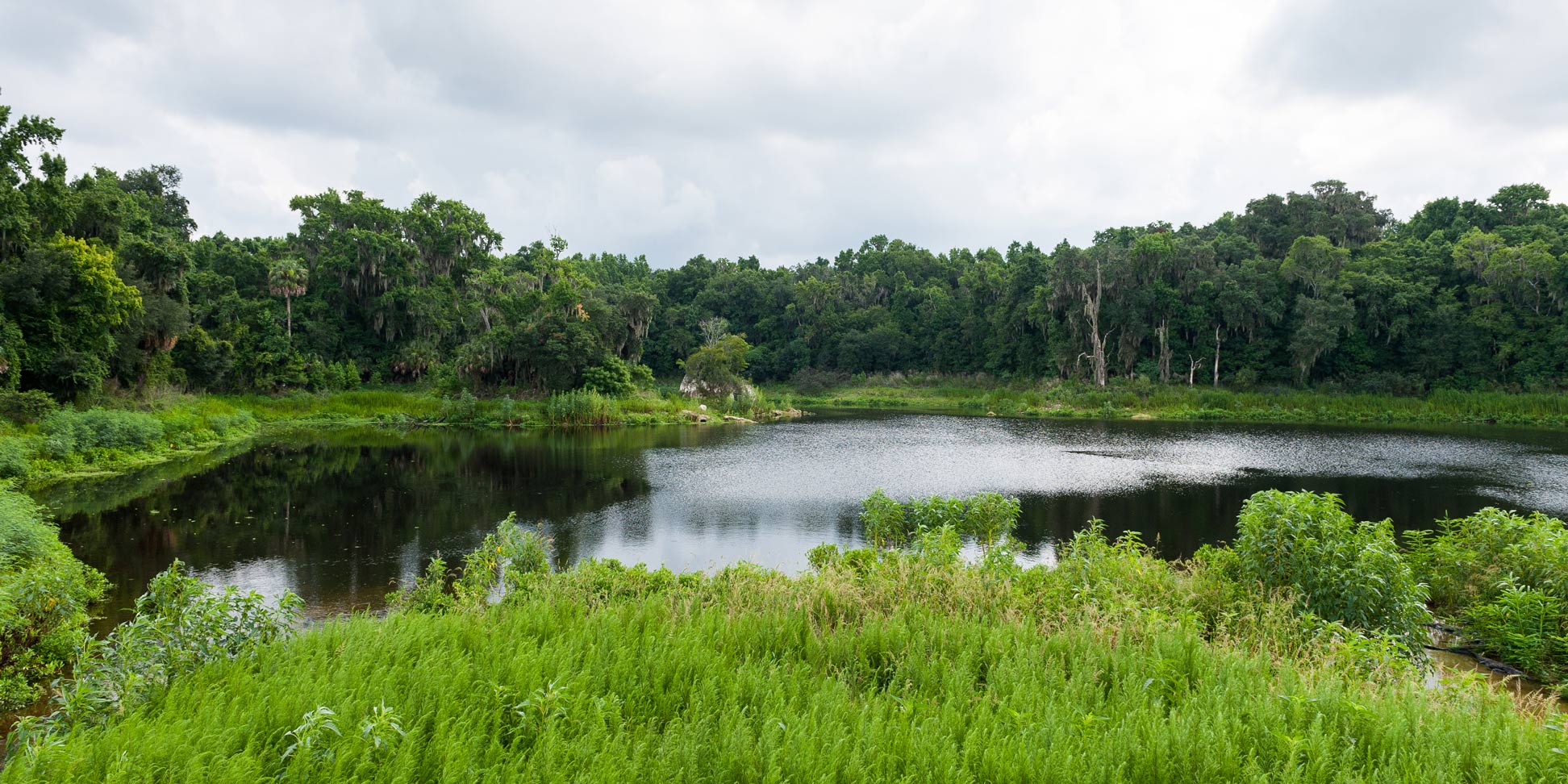 Greenery around Alachau sink